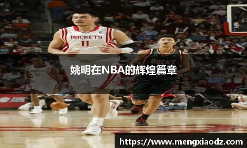 姚明在NBA的辉煌篇章